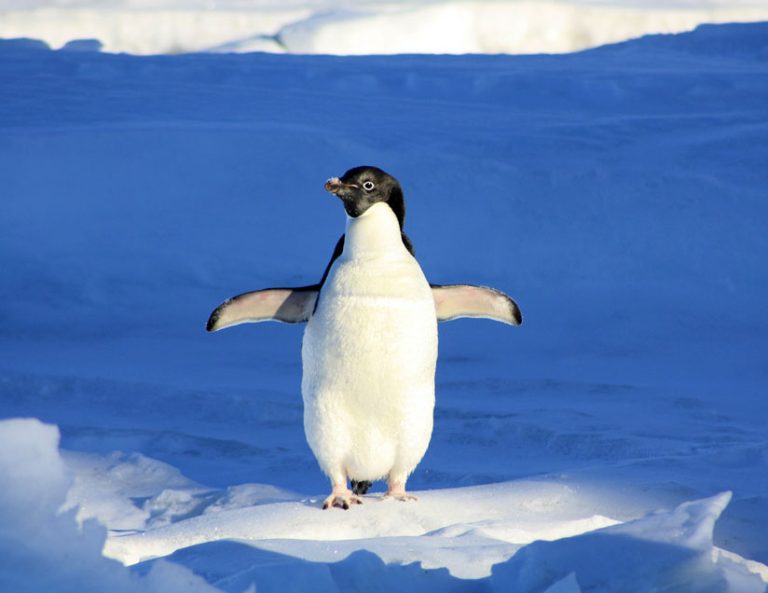 world_slider-image02