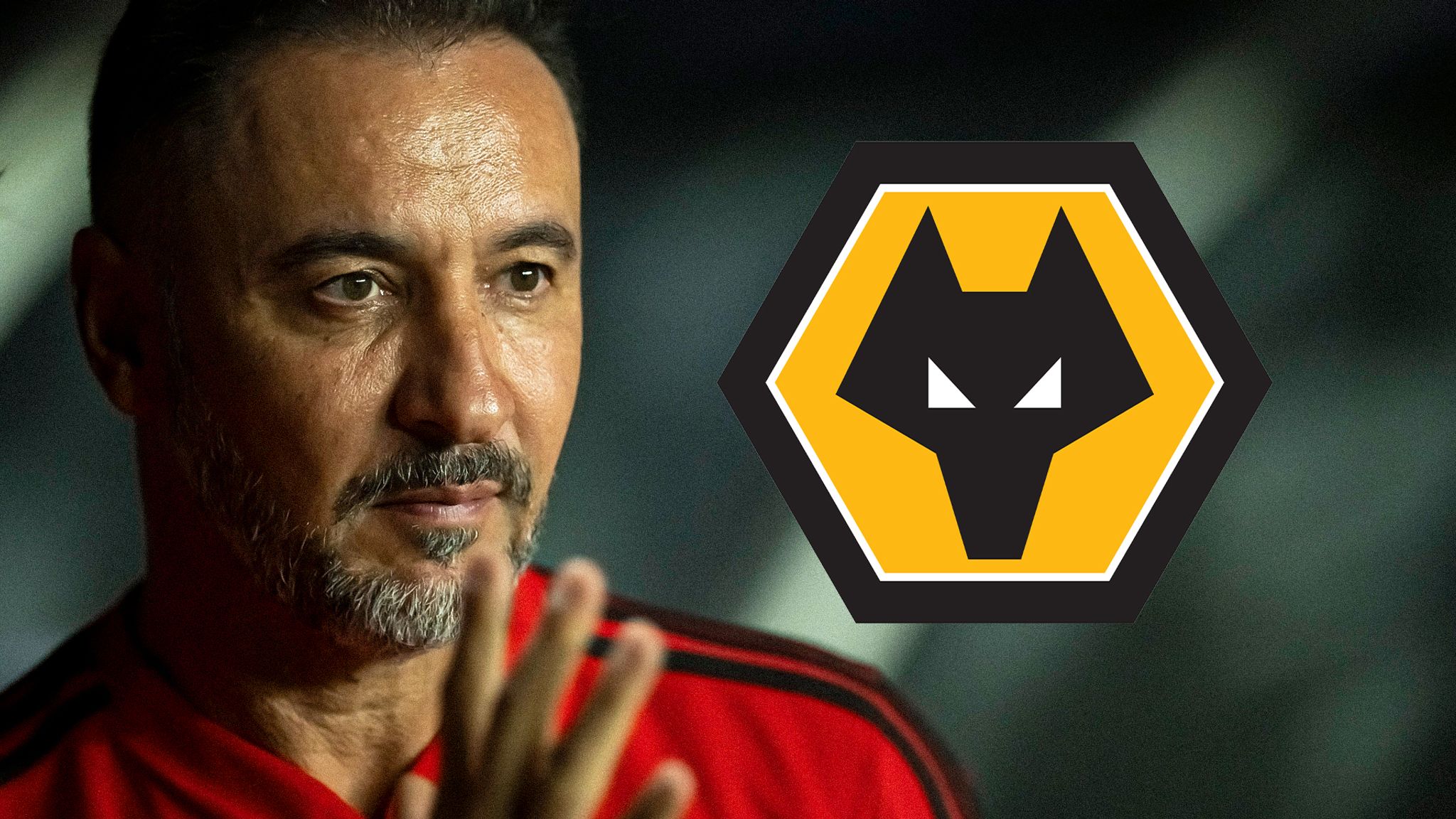 Wolves hopes to hire Vitor Pereira soon